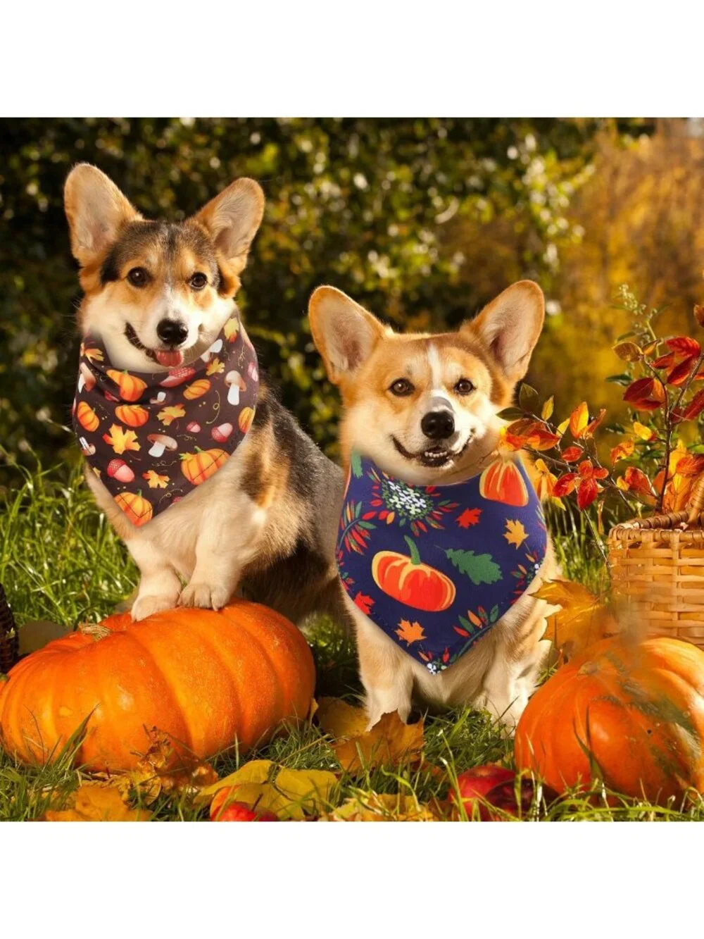 120 Pcs Fall Dog Bandanas Set - Thanksgiving Pumpkin & Maple Leaves Designs